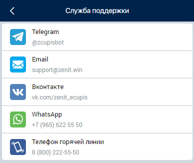 Зенит поддержка
